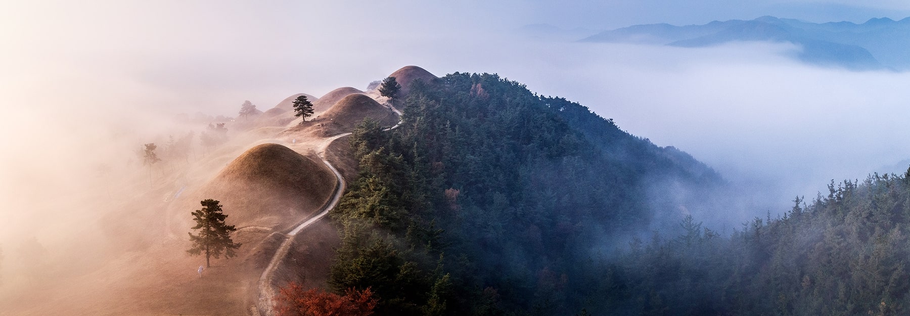 고령 지산동고분군